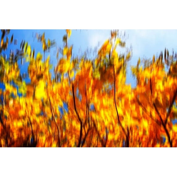 Gango Home Decor Autumn Impressions VI by Alan Hausenflock (Printed on Paper); One 36x24in Fine Art Paper Giclee Print