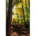 thumbnail image 1 of Gango Home Decor Autumn Light II by Alan Hausenflock (Printed on Paper); One 24x36in Fine Art Paper Giclee Print, 1 of 4