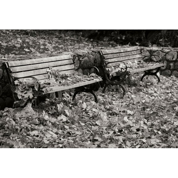 Gango Home Decor Autumn Paradise I B&W by Vitaly Geyman (Printed on Paper); One 36x24in Fine Art Paper Giclee Print