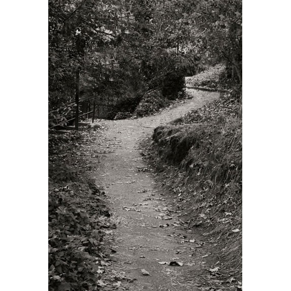 Gango Home Decor Autumn Path II B&W by Vitaly Geyman (Printed on Paper); One 24x36in Fine Art Paper Giclee Print