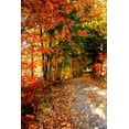 thumbnail image 1 of Gango Home Decor Autumn Pathway by Alan Hausenflock (Printed on Paper); One 24x36in Fine Art Paper Giclee Print, 1 of 4