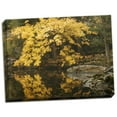 thumbnail image 1 of Gango Home Decor Autumn Reflections II by Vitaly Geyman (Ready to Hang); One 24x18in Hand-Stretched Canvas, 1 of 4