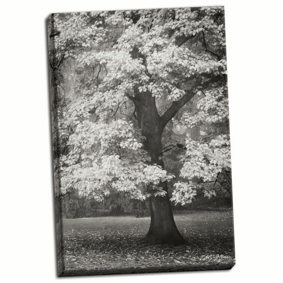 Gango Home Decor Autumn in Paris II B&W by Vitaly Geyman (Ready to Hang); One 24x36in Hand-Stretched Canvas