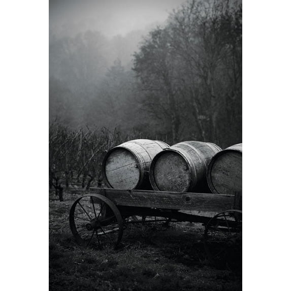 Gango Home Decor BW Oregon Wine Country II by Erin Berzel (Printed on Paper); One 24x36in Fine Art Paper Giclee Print