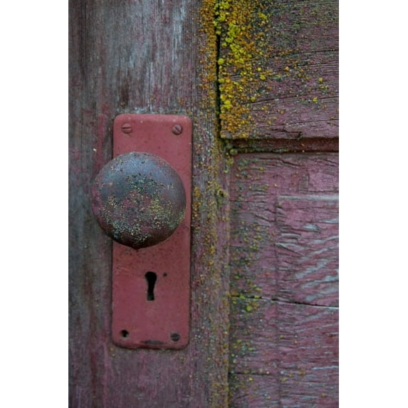 Gango Home Decor Barn Door by Erin Berzel (Printed on Paper); One 24x36in Fine Art Paper Giclee Print
