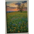 thumbnail image 1 of Gango Home Decor Bear Mountain by Mark Geistweite (Ready to Hang); One 24x36in Hand-Stretched Canvas, 1 of 1
