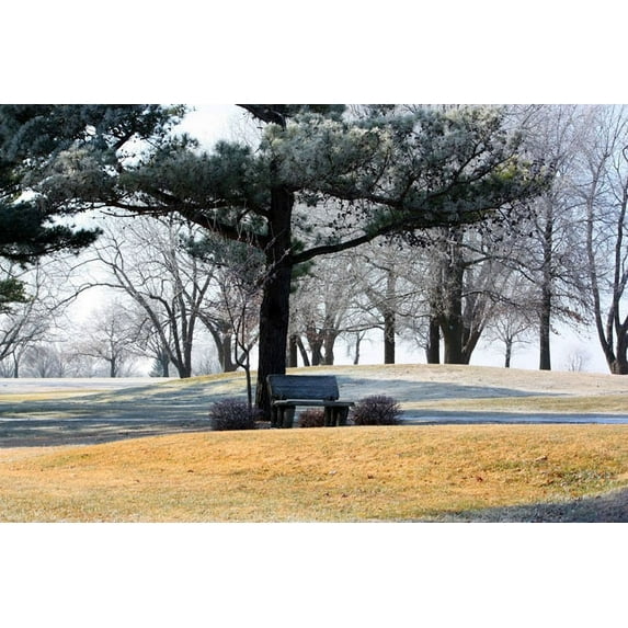 Gango Home Decor Bench II by Tammy Putman (Printed on Paper); One 36x24in Fine Art Paper Giclee Print