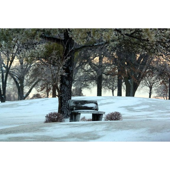 Gango Home Decor Bench III by Tammy Putman (Printed on Paper); One 36x24in Fine Art Paper Giclee Print