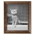 thumbnail image 1 of Gango Home Decor Bert's Bath; One 11x14in Art Print in Gold Trim Brown Frame, 1 of 3