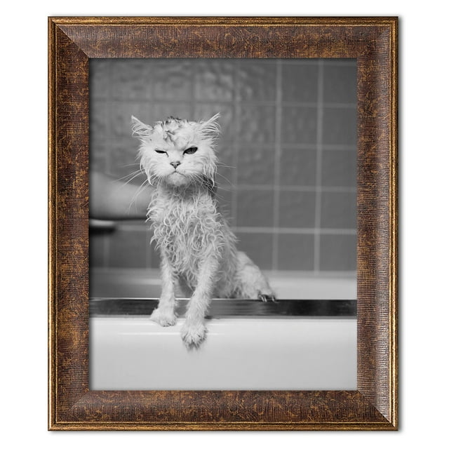 Gango Home Decor Bert's Bath; One 11x14in Art Print in Gold Trim Brown Frame