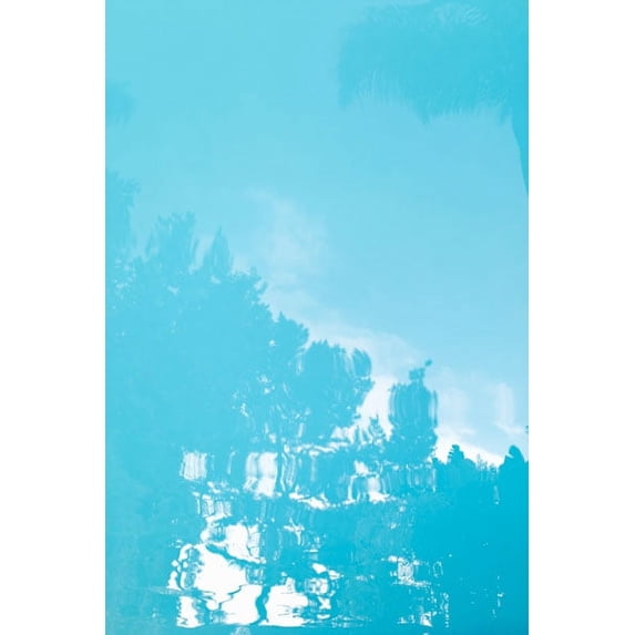 Gango Home Decor Beverly Hills Pool II by Karyn Millet (Printed on Paper); One 24x36in Fine Art Paper Giclee Print