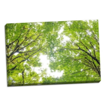 Gango Home Decor Big Leaf Maple II by Kathy Mahan (Ready to Hang); One 36x24in Hand-Stretched Canvas