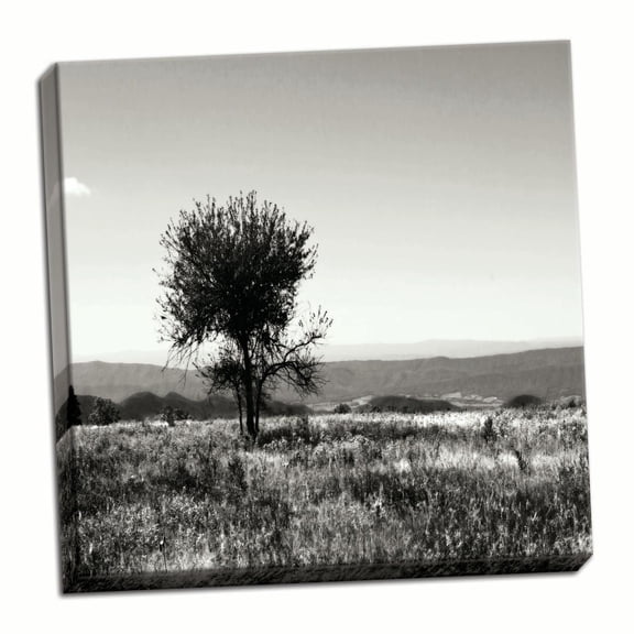 Gango Home Decor Big Meadow Square IV by Alan Hausenflock (Ready to Hang); One 24x24in Hand-Stretched Canvas