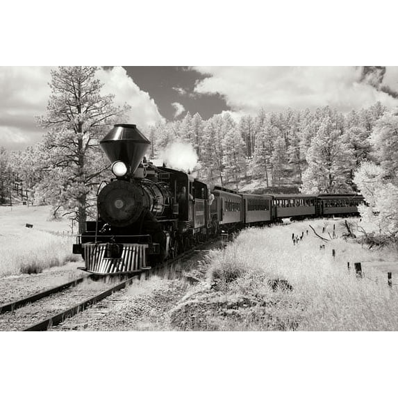 Gango Home Decor Black Hills RR II by George Johnson (Printed on Paper); One 36x24in Fine Art Paper Giclee Print