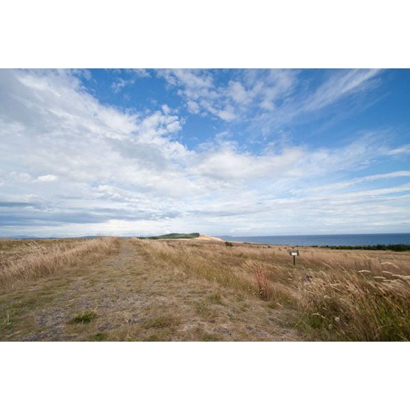 Gango Home Decor Bluff Path by Dana Styber (Printed on Paper); One 36x24in Fine Art Paper Giclee Print