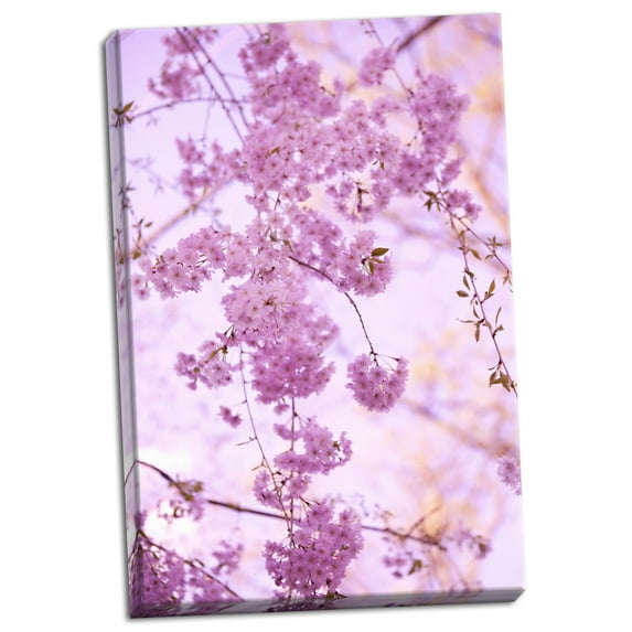 Gango Home Decor Bright Blooms III by Karyn Millet (Ready to Hang); One 24x36in Hand-Stretched Canvas