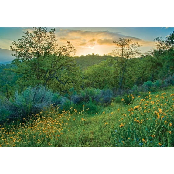 Gango Home Decor Caliente Spring I by Mark Geistweite (Printed on Paper); One 36x24in Fine Art Paper Giclee Print