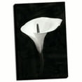 thumbnail image 1 of Gango Home Decor Calla Lily Perfection III by Vitaly Geyman (Ready to Hang); One 24x36in Hand-Stretched Canvas, 1 of 4