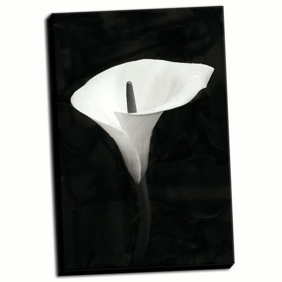 Gango Home Decor Calla Lily Perfection III by Vitaly Geyman (Ready to Hang); One 24x36in Hand-Stretched Canvas