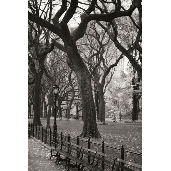 Gango Home Decor Central Park Dancers II by Vitaly Geyman (Printed on Paper); One 24x36in Fine Art Paper Giclee Print