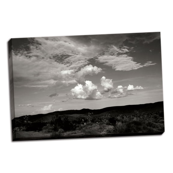 Gango Home Decor Clouds in Joshua Tree II by Erin Berzel (Ready to Hang); One 36x24in Hand-Stretched Canvas