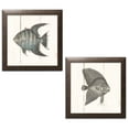 thumbnail image 1 of Gango Home Decor Coastal Fish Sketches Shiplap II & III by Wild Apple Portfolio (Ready to Hang); Two 12x12in Brown Framed Prints, 1 of 5