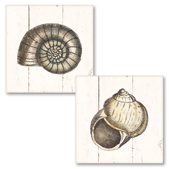 Gango Home Decor Coastal Shell Sketches Shiplap I & II by Wild Apple Portfolio (Printed on Paper); Two 16x16in Fine Art Paper Giclee Prints