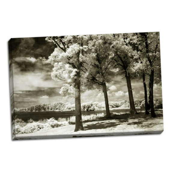 Gango Home Decor Cobb Island Channel II by Alan Hausenflock (Ready to Hang); One 36x24in Hand-Stretched Canvas