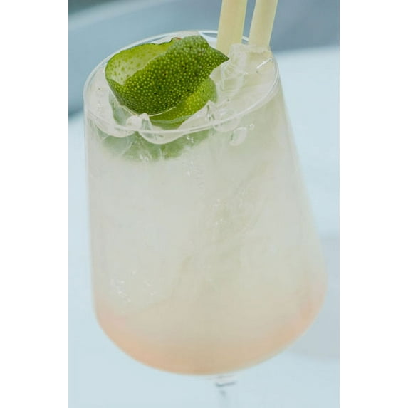 Gango Home Decor Cocktail Hour II by Erin Berzel (Printed on Paper); One 24x36in Fine Art Paper Giclee Print