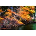 thumbnail image 1 of Gango Home Decor Color Of Fall III by Alan Hausenflock (Printed on Paper); One 36x24in Fine Art Paper Giclee Print, 1 of 4