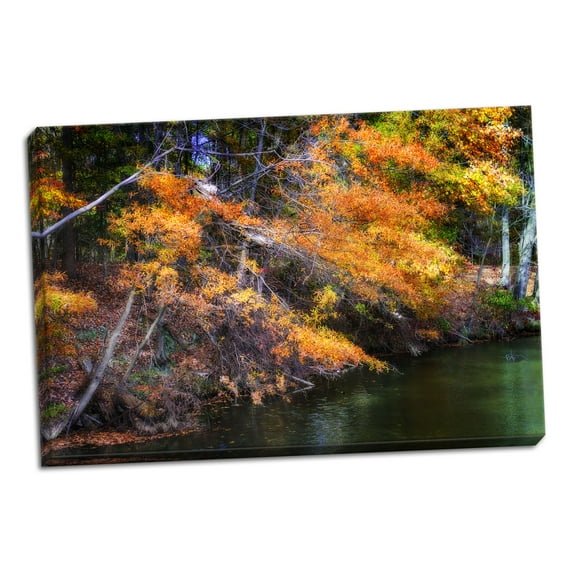 Gango Home Decor Color Of Fall III by Alan Hausenflock (Ready to Hang); One 36x24in Hand-Stretched Canvas
