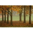 thumbnail image 1 of Gango Home Decor Colors in the Mist VII by Vitaly Geyman (Printed on Paper); One 36x24in Fine Art Paper Giclee Print, 1 of 4
