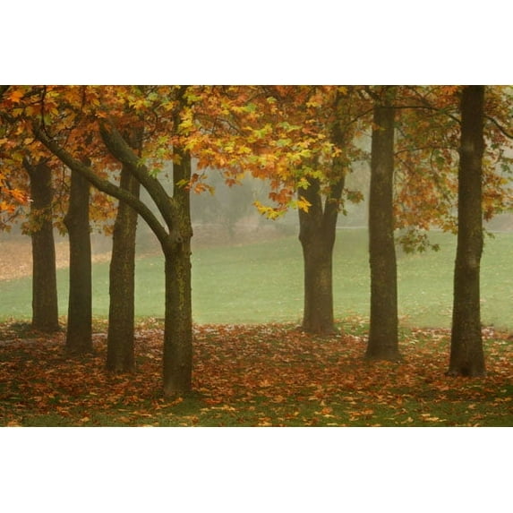 Gango Home Decor Colors in the Mist VII by Vitaly Geyman (Printed on Paper); One 36x24in Fine Art Paper Giclee Print