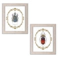 thumbnail image 1 of Gango Home Decor Contemporary Adorning Coleoptera I & IV by James Wiens (Ready to Hang); Two 11x14in Distressed Framed Prints, 1 of 5