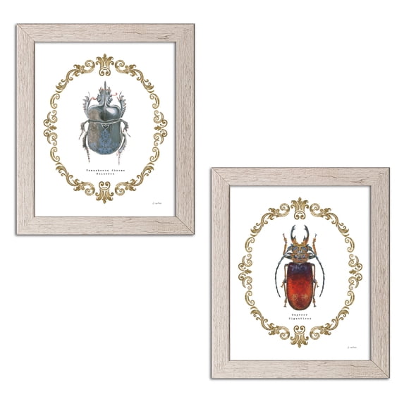 Gango Home Decor Contemporary Adorning Coleoptera I & IV by James Wiens (Ready to Hang); Two 11x14in Distressed Framed Prints