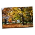 thumbnail image 1 of Gango Home Decor Contemporary Autumn on the Plantation I by Alan Hausenflock (Ready to Hang); One 24x16in Hand-Stretched Canvas, 1 of 4