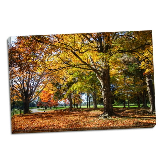 Gango Home Decor Contemporary Autumn on the Plantation I by Alan Hausenflock (Ready to Hang); One 24x16in Hand-Stretched Canvas