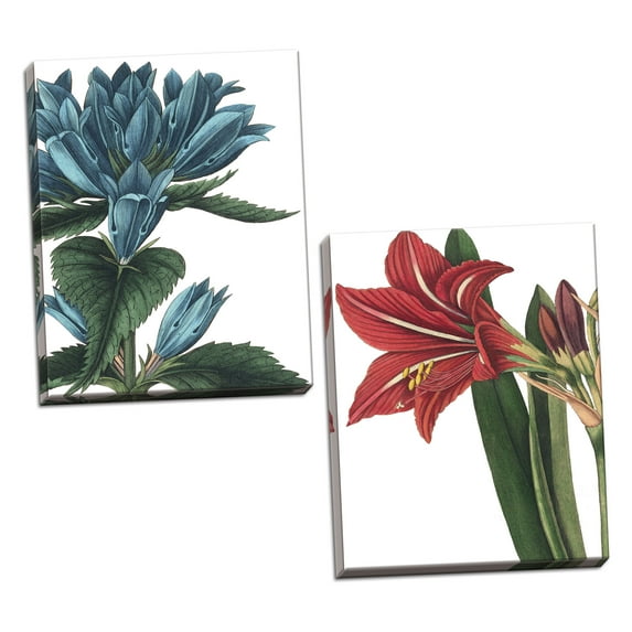 Gango Home Decor Contemporary Botanique I & II by Wild Apple Portfolio (Ready to Hang); Two 16x24in Hand-Stretched Canvases