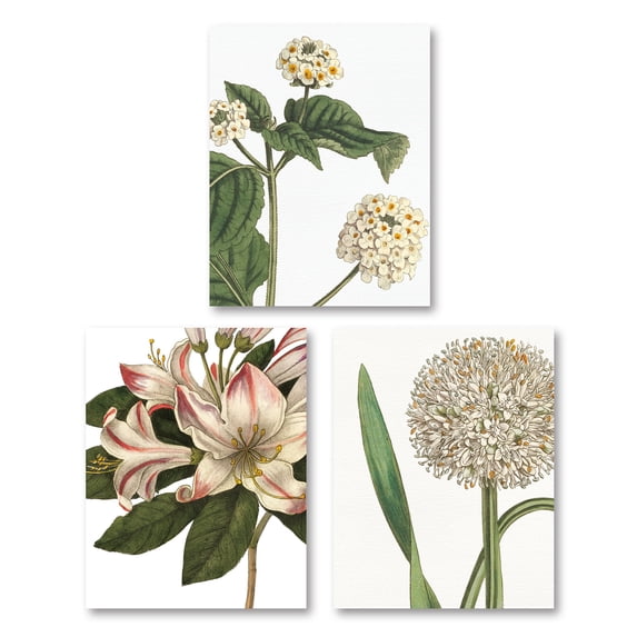 Gango Home Decor Contemporary Botanique III, Botanique Bleu I & III on White by Wild Apple Portfolio (Printed on Paper); Three 16x20in Fine Art Paper Giclee Prints