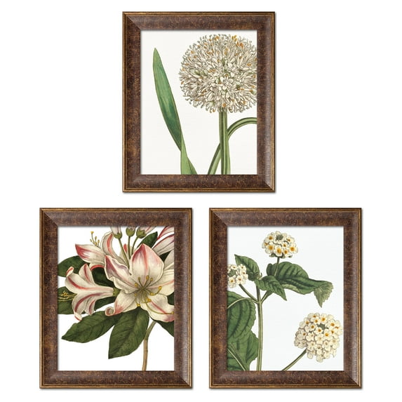 Gango Home Decor Contemporary Botanique III, Botanique Bleu I & III on White by Wild Apple Portfolio (Ready to Hang); Three 11x14in Gold Trim Framed Prints