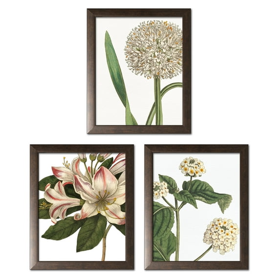 Gango Home Decor Contemporary Botanique III, Botanique Bleu I & III on White by Wild Apple Portfolio (Ready to Hang); Three 11x14in Brown Framed Prints