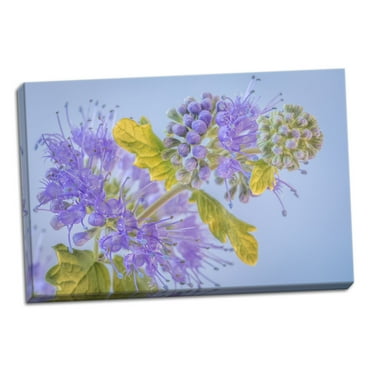 Gango Home Decor Contemporary Caryopteris III by Kathy Mahan (Ready to Hang); One 36x24in Hand-Stretched Canvas