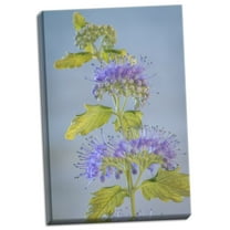 Gango Home Decor Contemporary Caryopteris VI by Kathy Mahan (Ready to Hang); One 24x36in Hand-Stretched Canvas