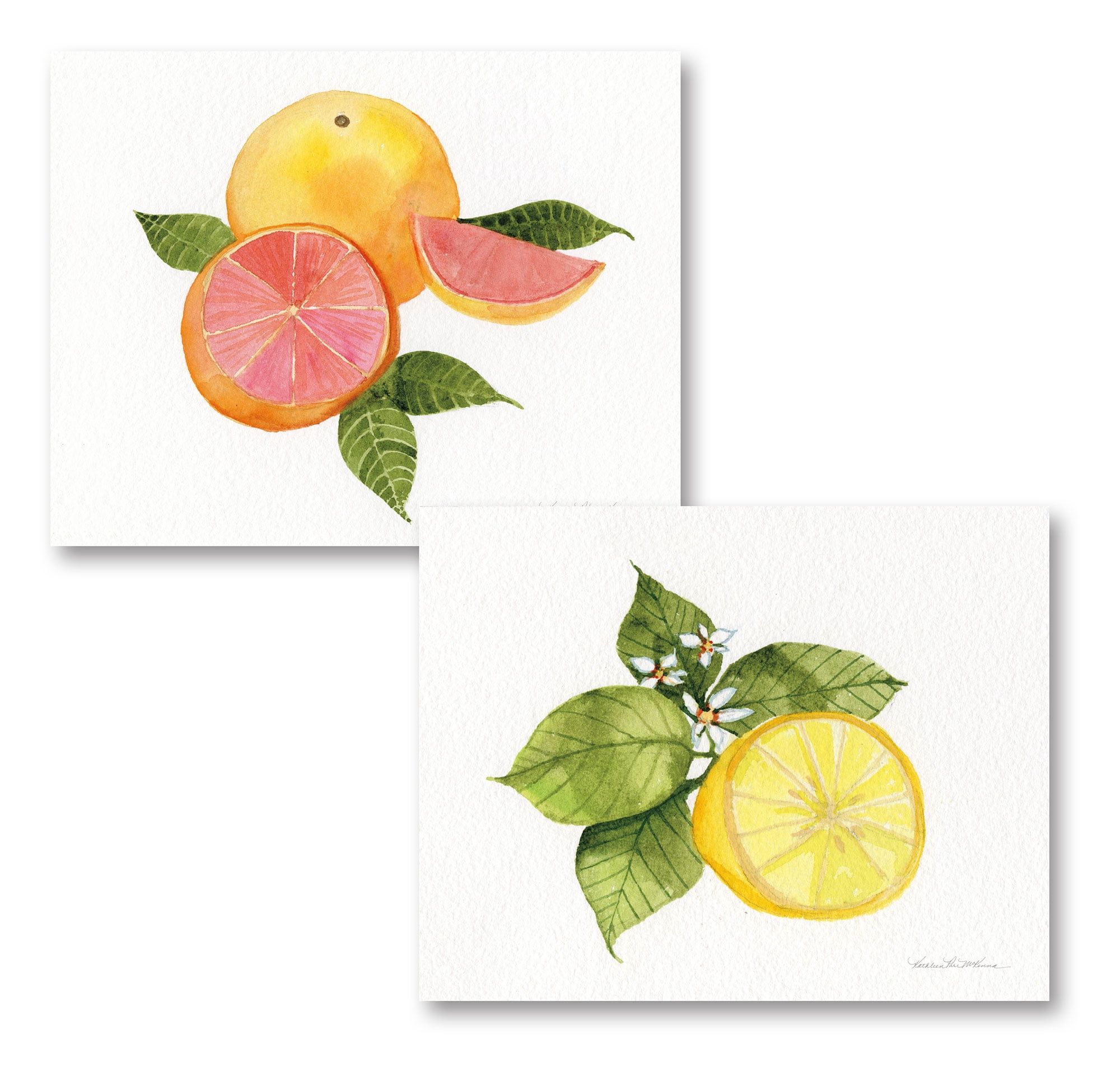 Gango Home Decor Contemporary Citrus Garden IX & X by Kathleen Parr ...