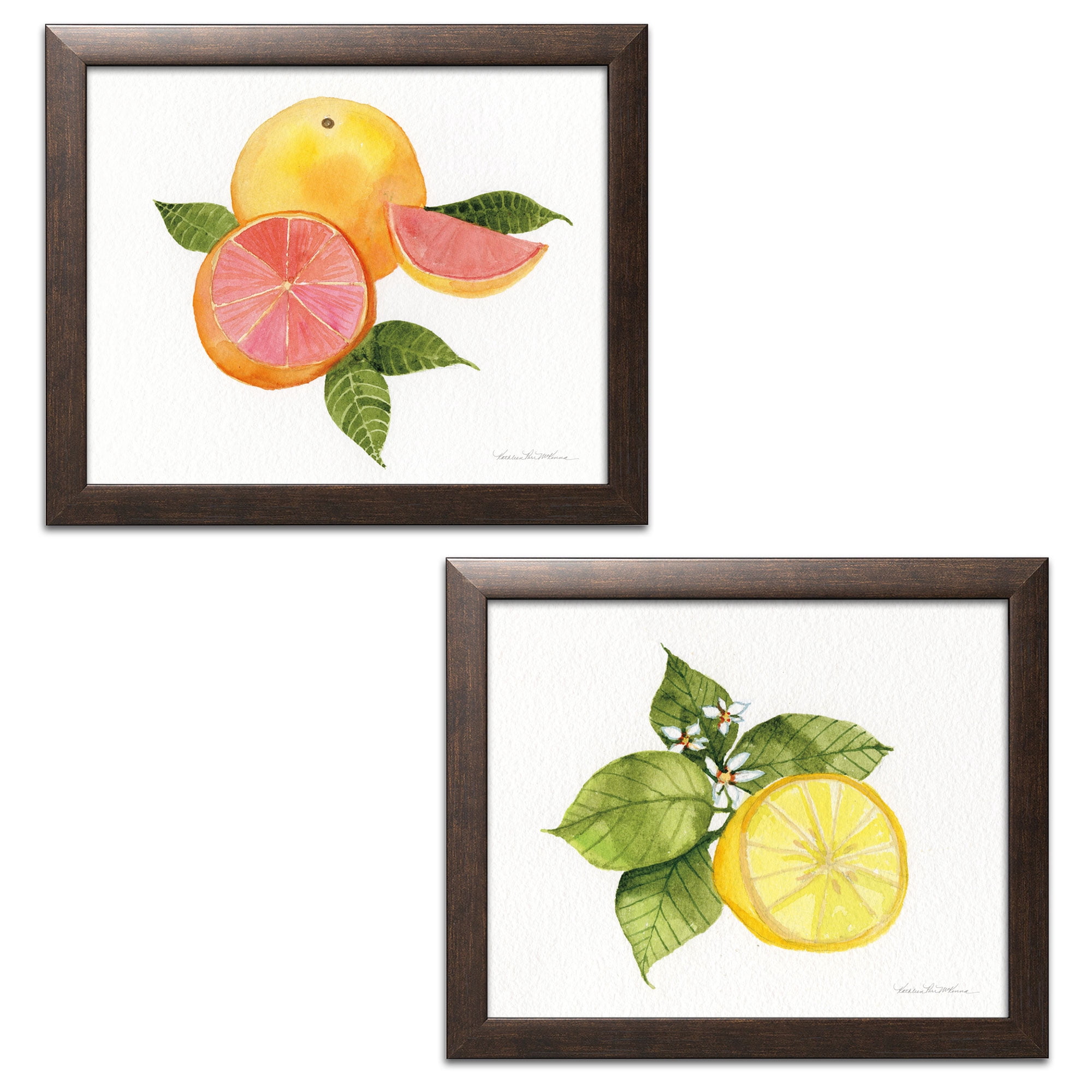 Gango Home Decor Contemporary Citrus Garden IX & X by Kathleen Parr ...