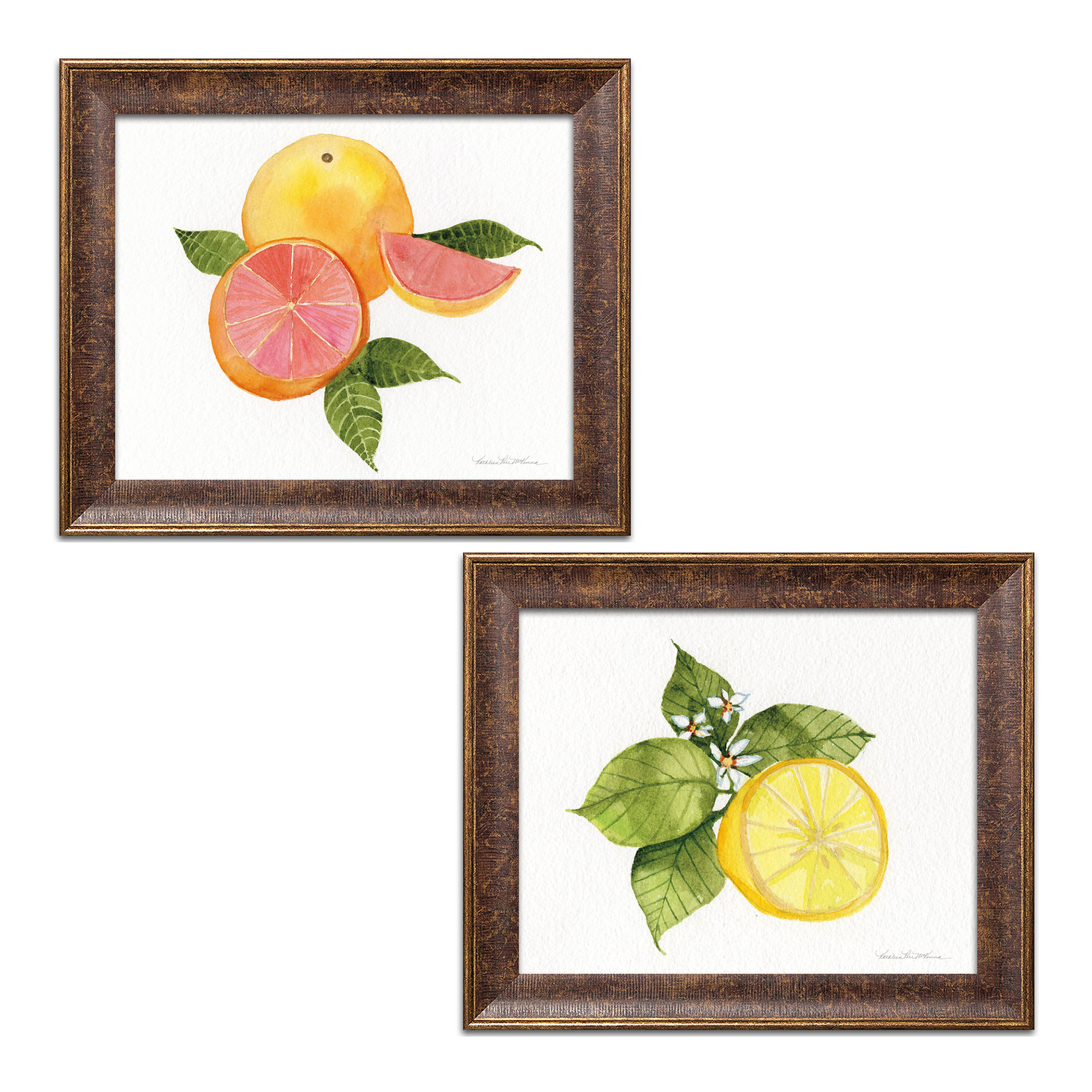 Gango Home Decor Contemporary Citrus Garden IX & X by Kathleen Parr ...