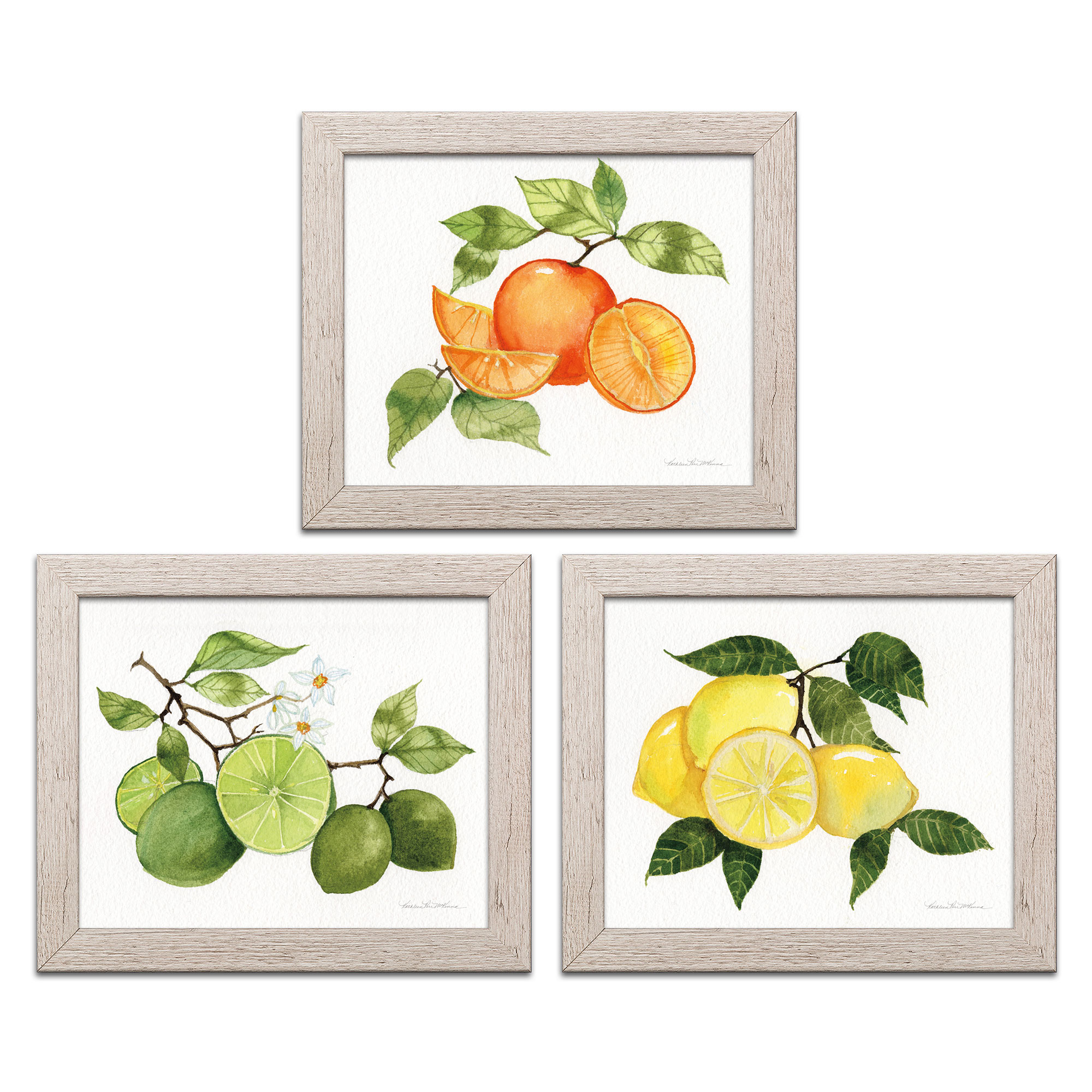 Gango Home Decor Contemporary Citrus Garden VI, VII, & VIII by Kathleen ...
