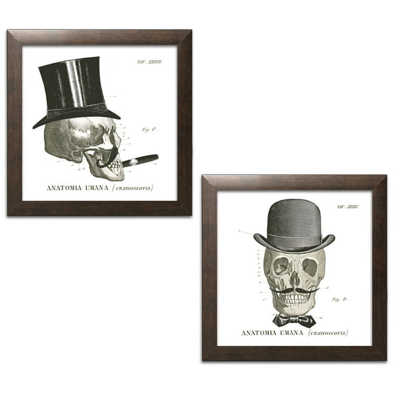 Gango Home Decor Contemporary Dandy Bones III & IV by Sue Schlabach (Ready to Hang); Two 12x12in Brown Framed Prints