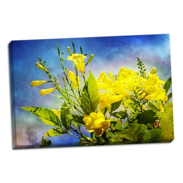 Gango Home Decor Contemporary Flowers on Watercolor II by Alan Hausenflock (Ready to Hang); One 36x24in Hand-Stretched Canvas