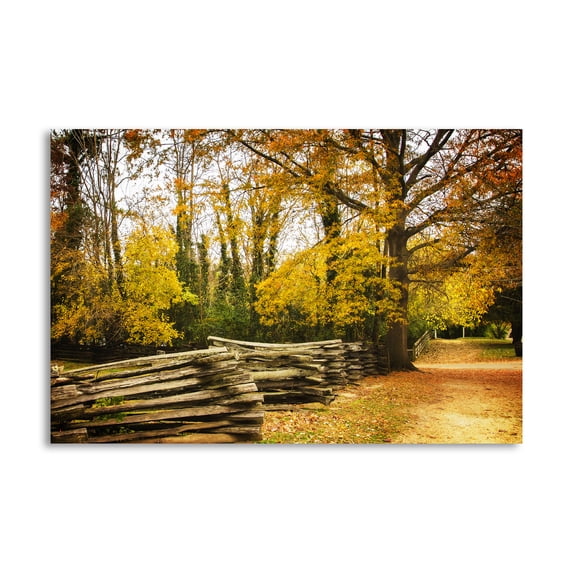 Gango Home Decor Contemporary Late Fall Day I by Alan Hausenflock (Printed on Paper); One 24x16in Fine Art Paper Giclee Print